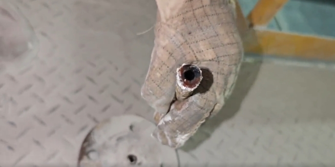 图片关键词 图片关键词